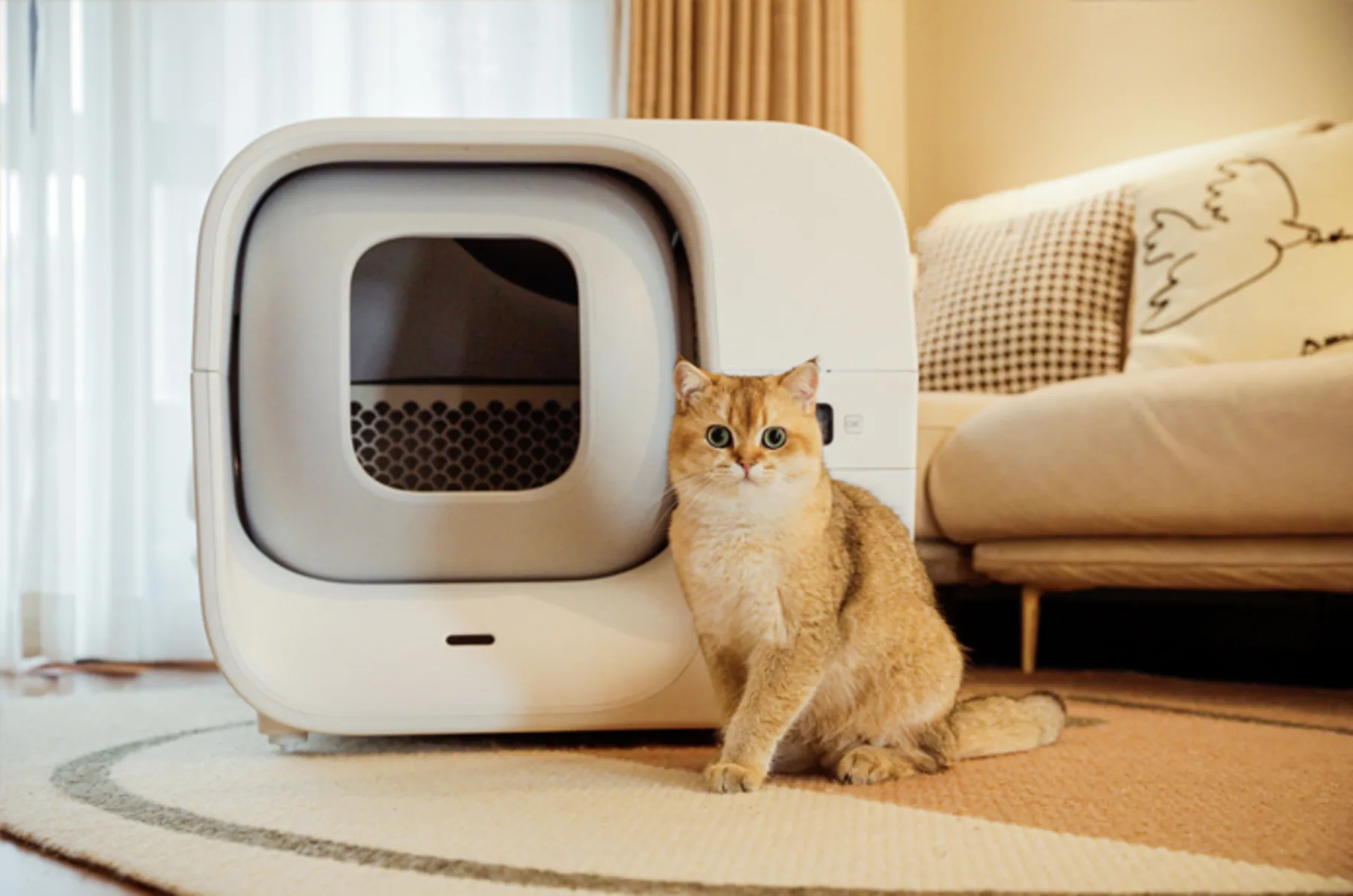 winkel voor hondenbenodigdheden -winkel voor hondenbenodigdheden z8t3bpnp5aqg8dmtcdqd