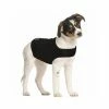 ZenDog Compression Shirt - Antistress-vest Voor Honden -winkel voor hondenbenodigdheden zendog compression shirt antistress vest voor honden